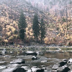 Meet your Posher, Chaeweon